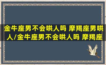 金牛座男不会哄人吗 摩羯座男哄人/金牛座男不会哄人吗 摩羯座男哄人-我的网站